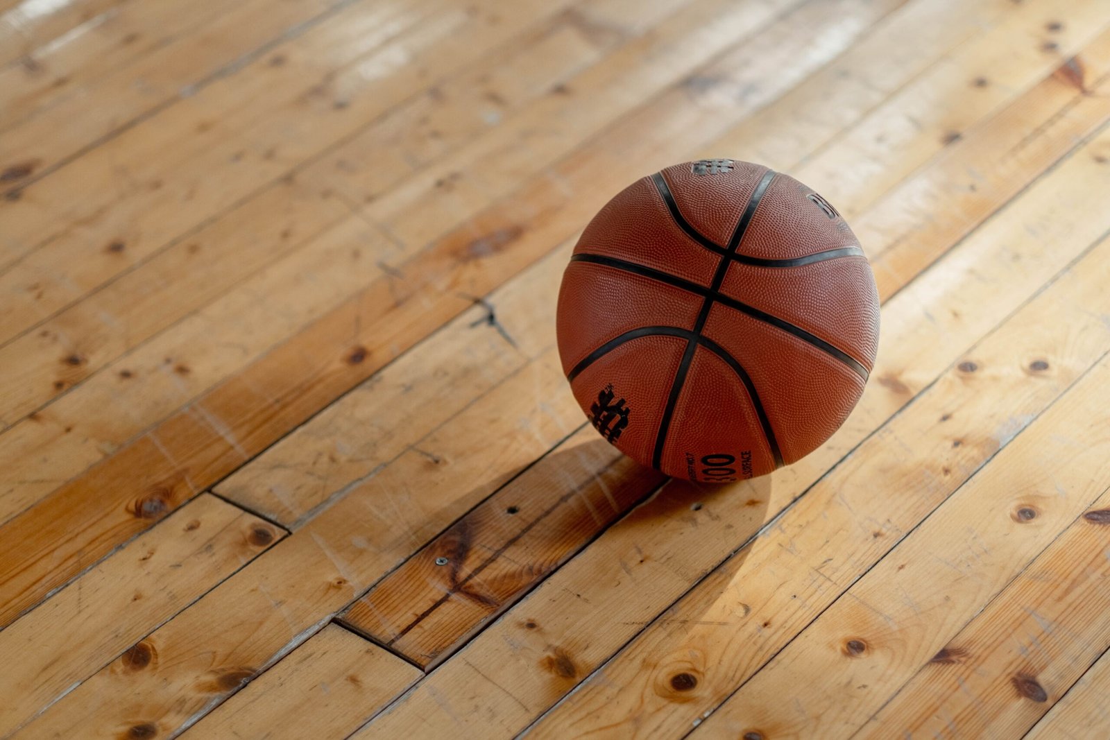 PA Sharks Basketball Team